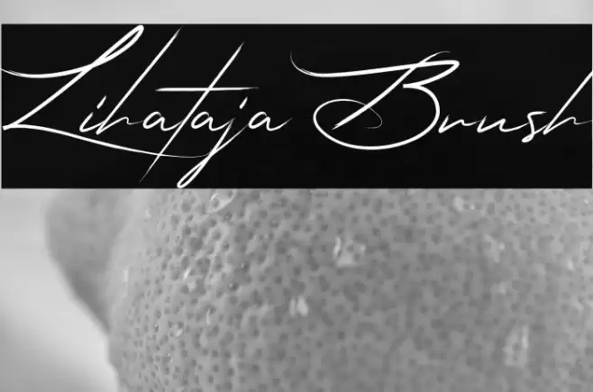 Lihataja Brush Font examples