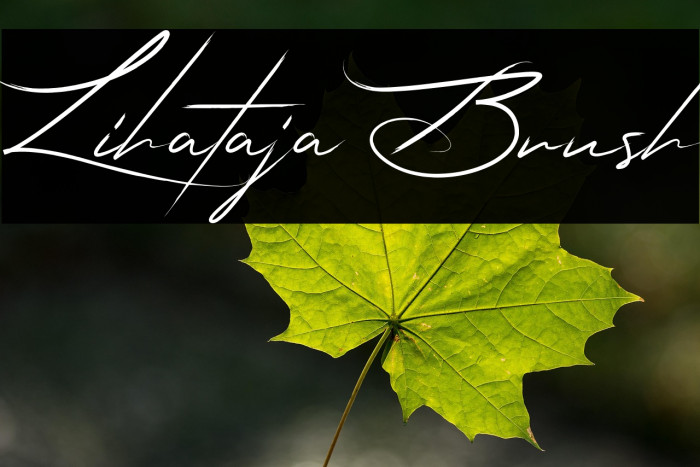 Lihataja Brush Example 3