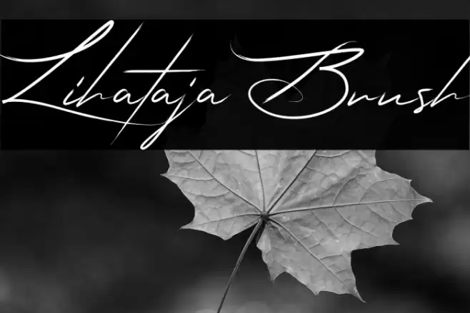 Lihataja Brush Font examples