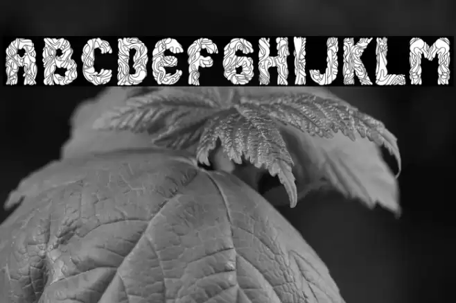 Lika-Liku Font examples