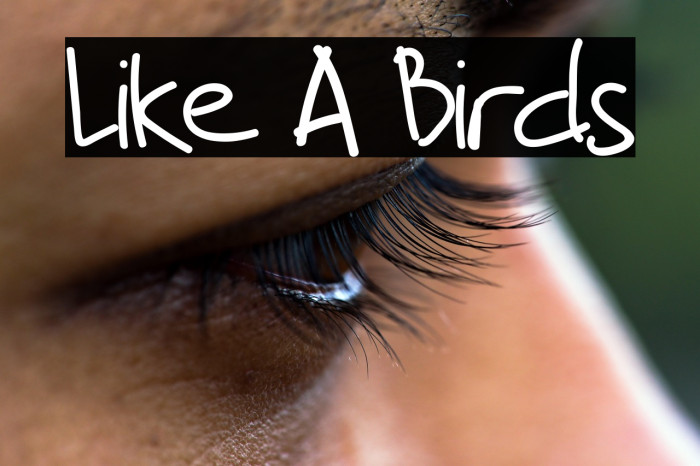 Like A Birds Example 3