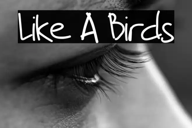 Like A Birds Font examples