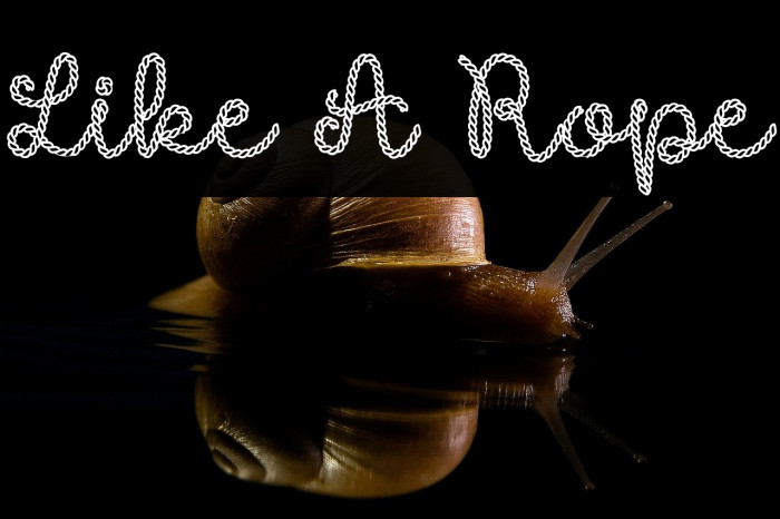 Like A Rope Example 1