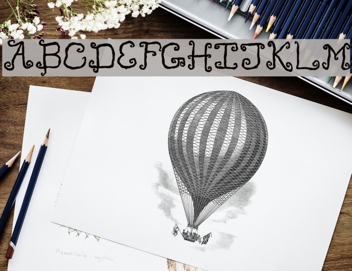 Like Cockatoos Bold Font examples