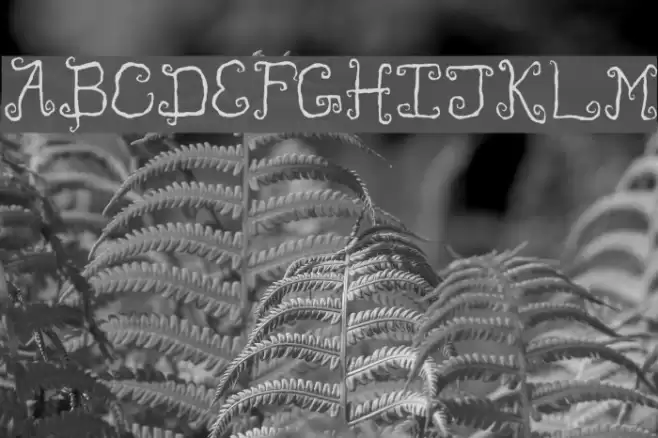 Like Cockatoos Condensed Font examples