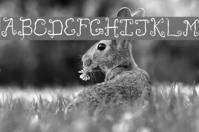 Like Cockatoos Condensed Font examples