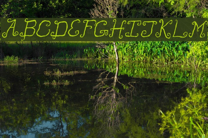 Like Cockatoos Italic Font examples
