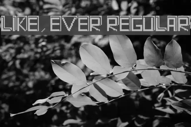 Like, Ever Regular Schriftart examples