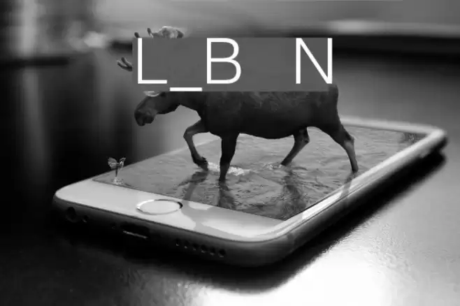 Likhari_B  Normal フォント examples