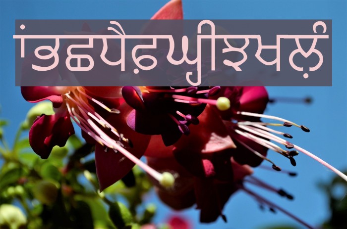 Likhari_P フォント examples