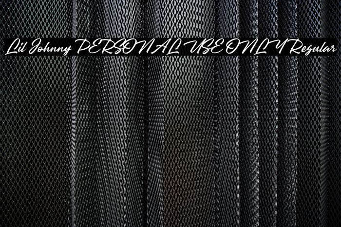 Lil Johnny PERSONAL USE ONLY Regular Example 1