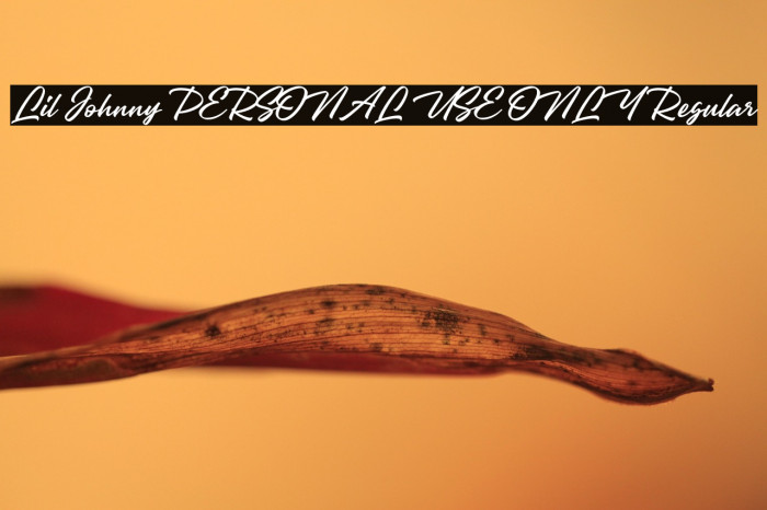 Lil Johnny PERSONAL USE ONLY Regular Example 2