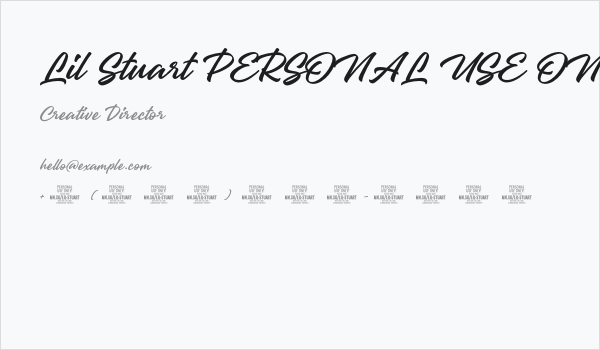 Lil Stuart PERSONAL USE ONLY Regular Business Card