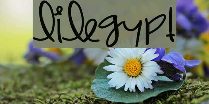 LilEgypt Font examples
