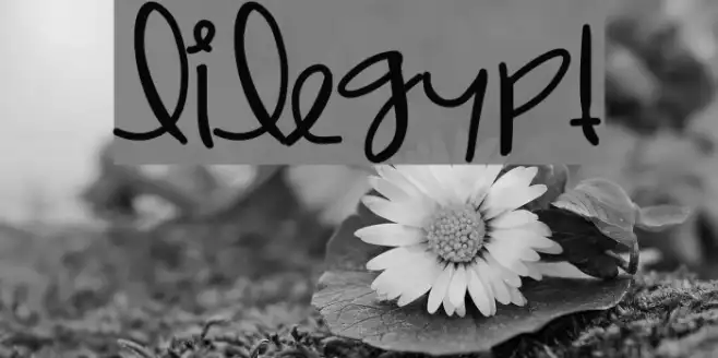 LilEgypt Example 3
