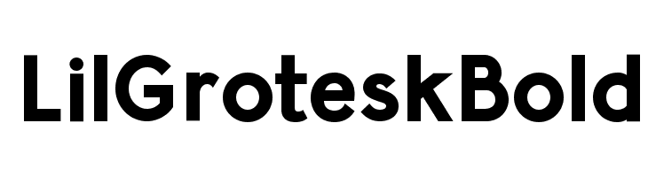 LilGrotesk Bold Font