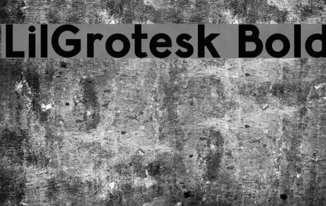 LilGrotesk Bold Example 1