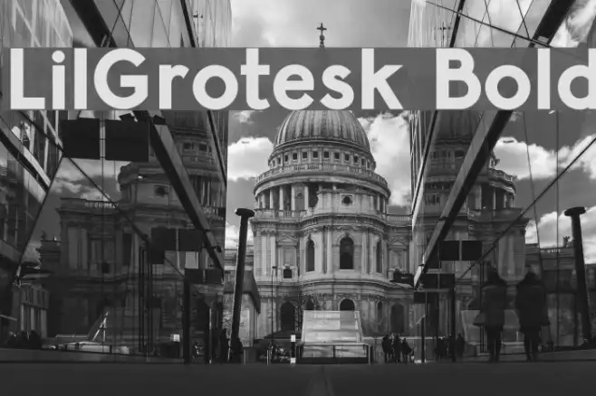 LilGrotesk Bold Example 2