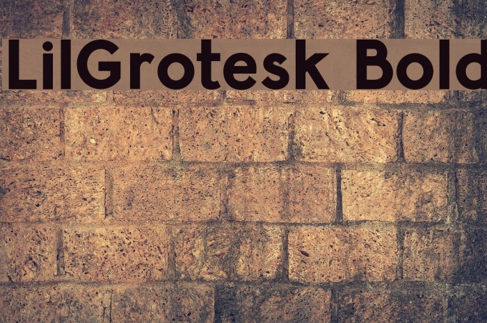 LilGrotesk Bold Font examples