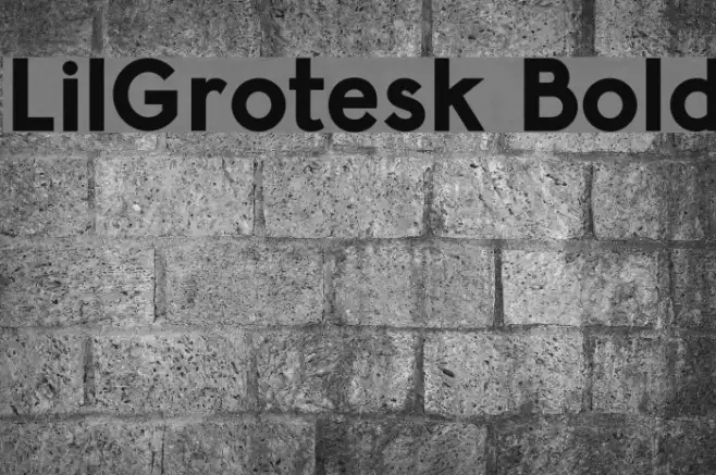 LilGrotesk Bold Example 3