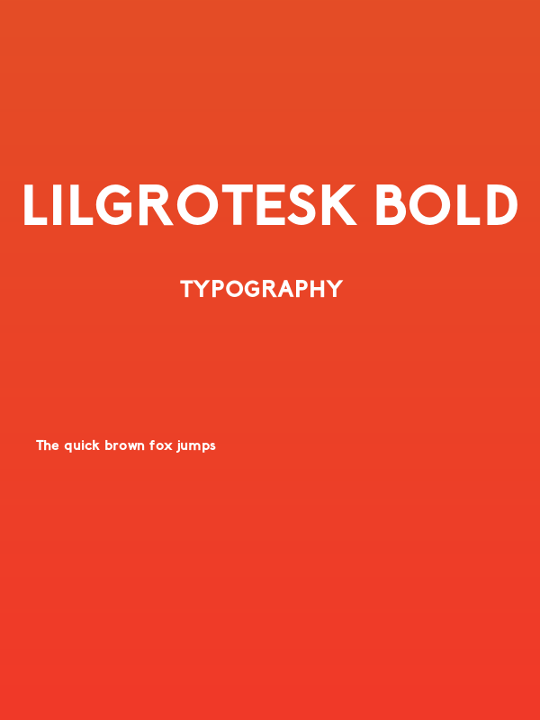 LilGrotesk Bold Poster