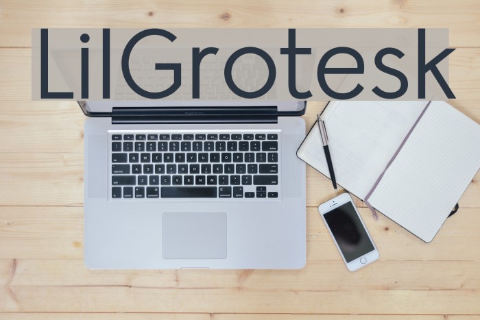LilGrotesk Font examples
