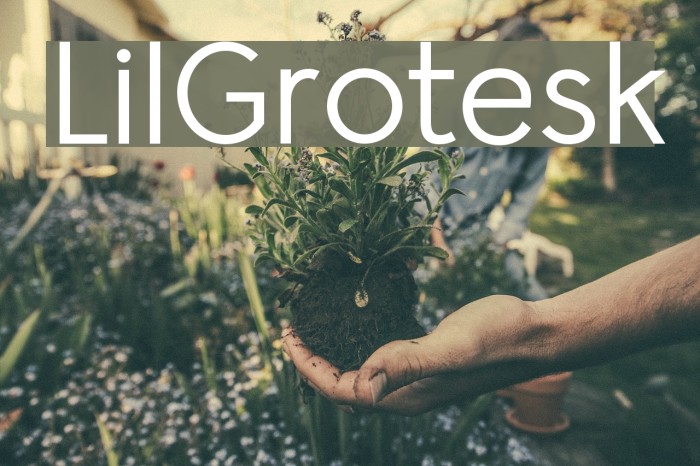 LilGrotesk Font examples
