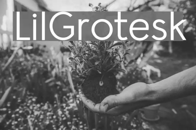 LilGrotesk Example 3
