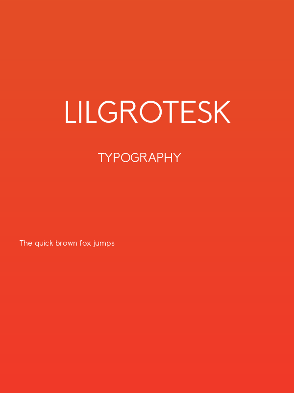 LilGrotesk Poster