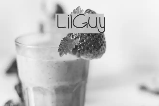 LilGuy Font examples