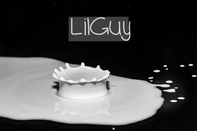 LilGuy Font examples