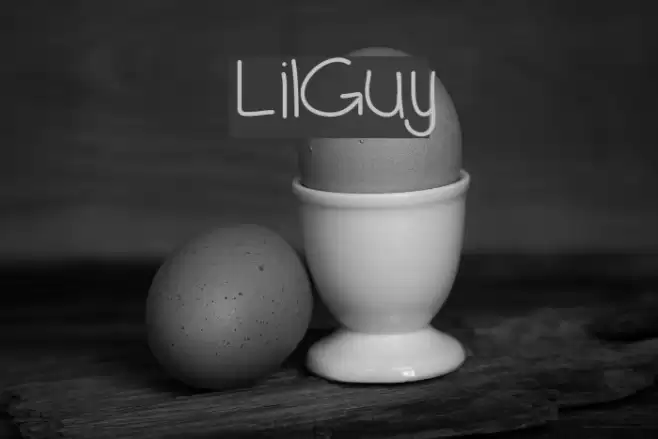 LilGuy Font examples