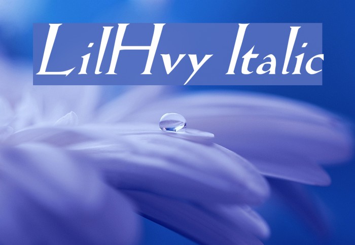 LilHvy Italic フォント examples