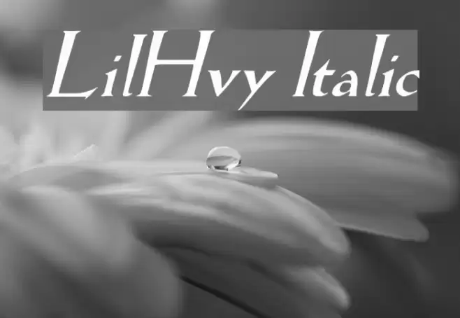 LilHvy Italic Font examples