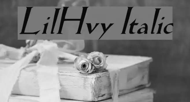 LilHvy Italic Font examples