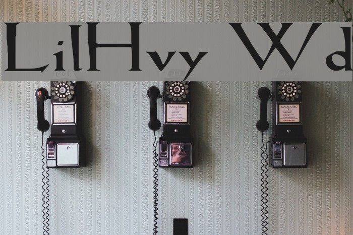 LilHvy Wd Font examples