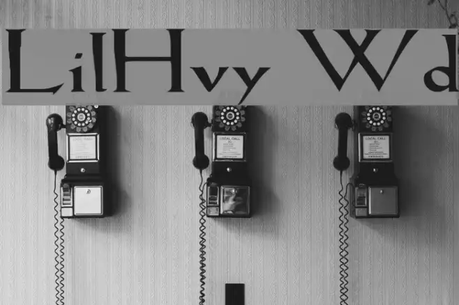 LilHvy Wd Example 1