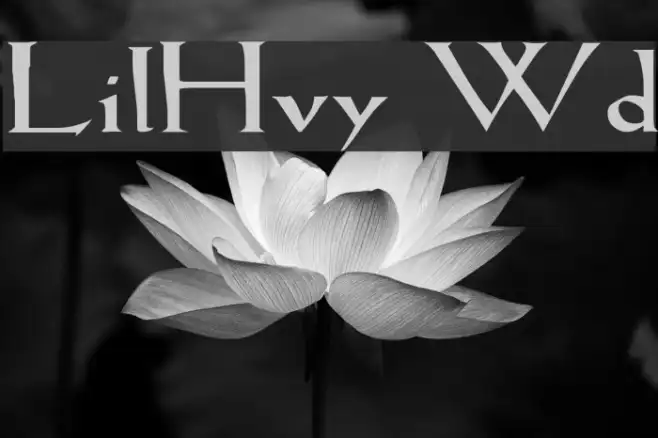 LilHvy Wd Example 2