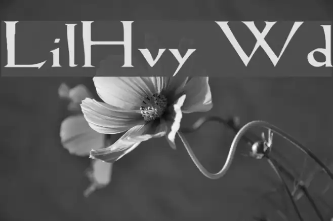 LilHvy Wd Example 3