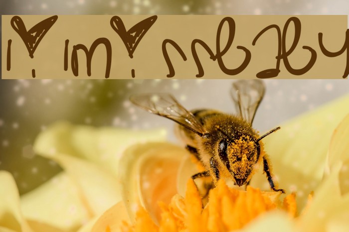 LilMissBaby Example 1