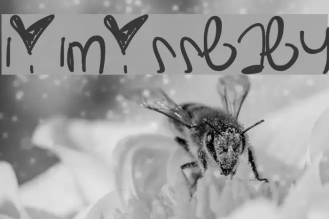 LilMissBaby Font examples