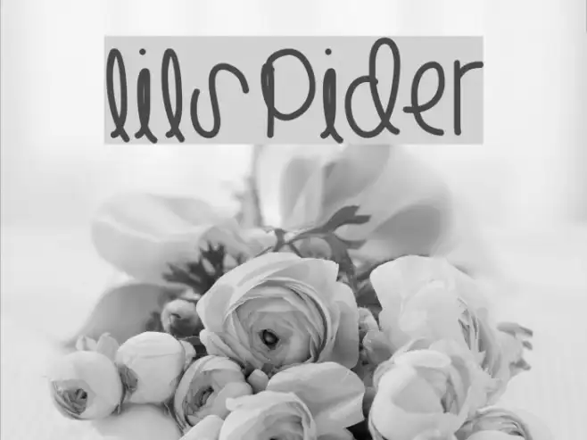 LilSpider Example 1