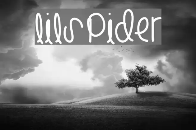 LilSpider Example 3