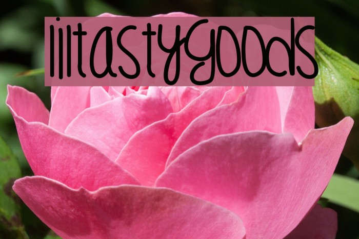 LilTastyGoods Font examples