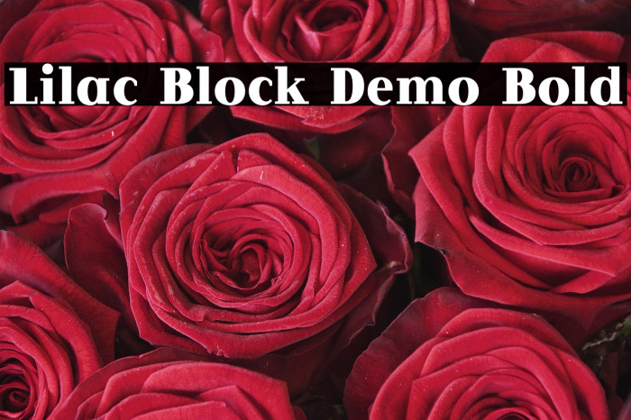Lilac Block Demo Bold Example 1
