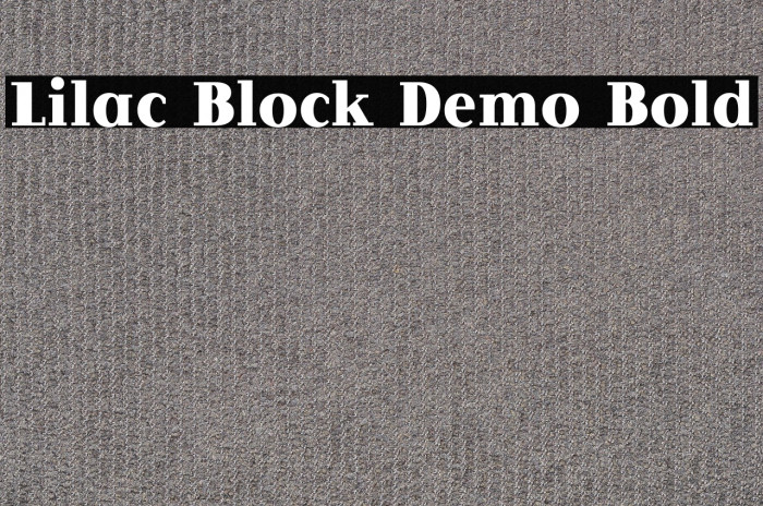 Lilac Block Demo Bold Example 2