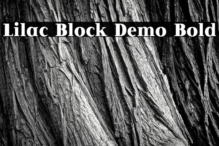 Lilac Block Demo Bold Example 3