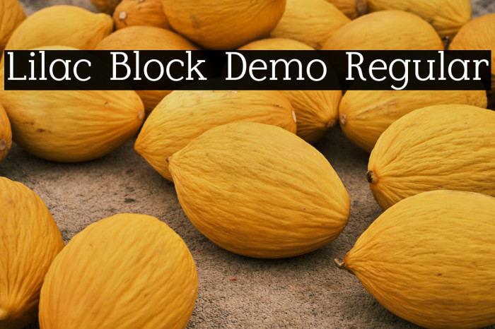 Lilac Block Demo Regular Example 3