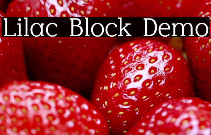 Lilac Block Demo Example 2