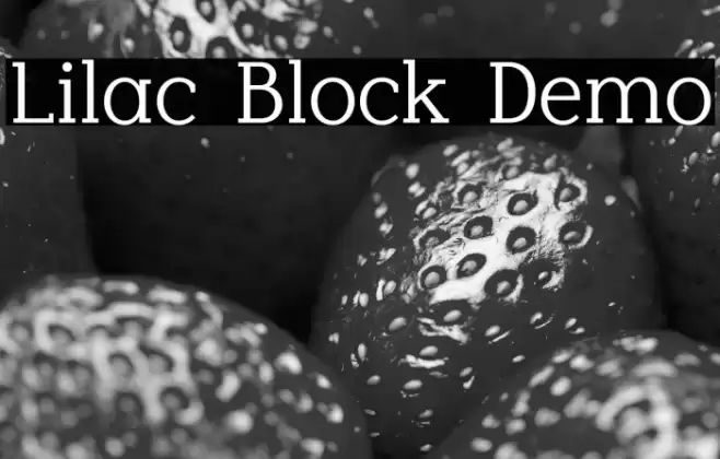 Lilac Block Demo Font examples